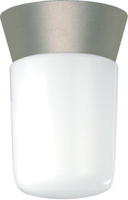 4.25" Cylinder Outdoor Flush Mount in Satin Aluminum
