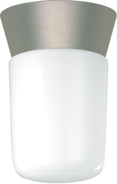 4.25" Cylinder Outdoor Flush Mount in Satin Aluminum