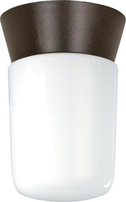 4.25" Cylinder Outdoor Flush Mount in Bronzotic