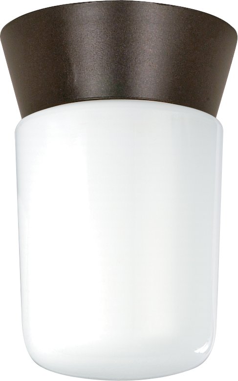 4.25" Cylinder Outdoor Flush Mount in Bronzotic