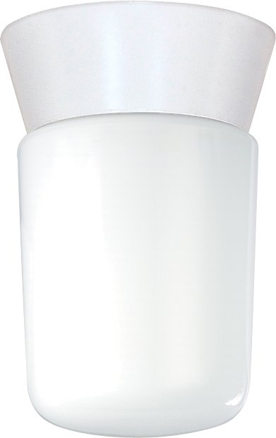 4.25" Cylinder Outdoor Flush Mount in White