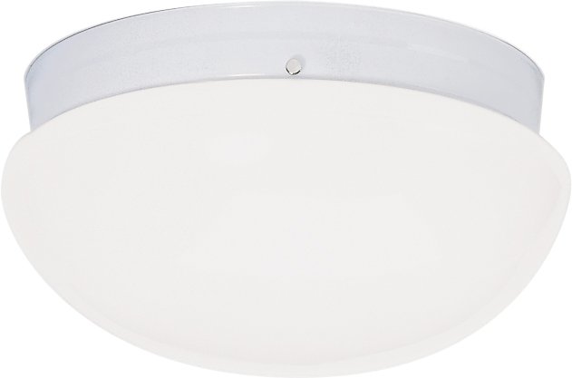 12" 2-Light Globe Flush Mount in White
