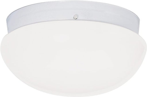 12" 2-Light Globe Flush Mount in White