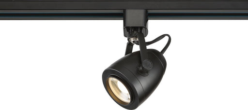 2.88" H-Type LED Track Head, 5.5" Projection in Black
