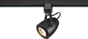 2.88" H-Type LED Track Head, 5.5" Projection in Black