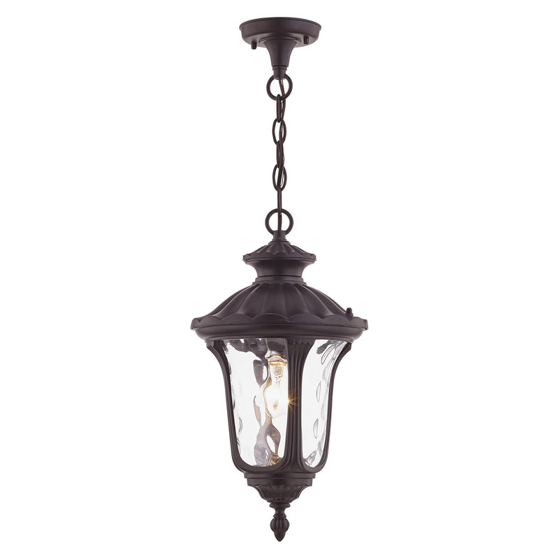 Oxford Medium Outdoor Pendant Lantern in Bronze