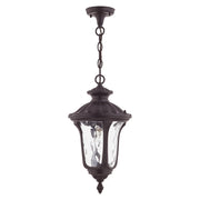 Oxford Medium Outdoor Pendant Lantern in Bronze