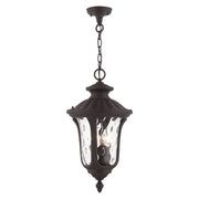 Oxford 3-Light Large Outdoor Pendant Lantern in Bronze