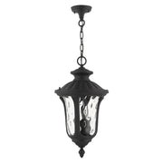 Oxford 3-Light Large Outdoor Pendant Lantern in Textured Black