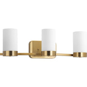 Elevate 3-Light Bath Vanity Light in Brushed Bronze