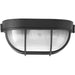 Bulkheads One Light Flush Mount in Black