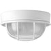 Bulkheads One Light Flush Mount in White