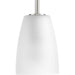 Leap One Light Mini Pendant in Brushed Nickel