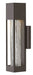 Vapor LED Wall Mount in Bronze