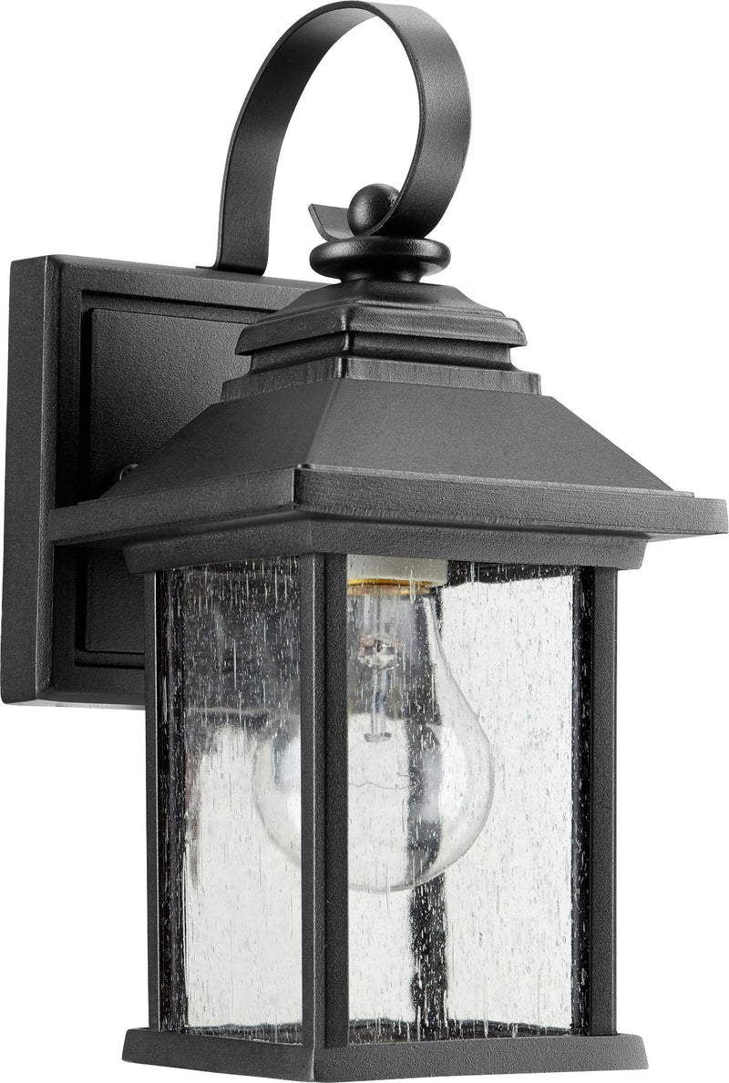 Pearson 10" 1 Light Outdoor Wall Light in Textured Black