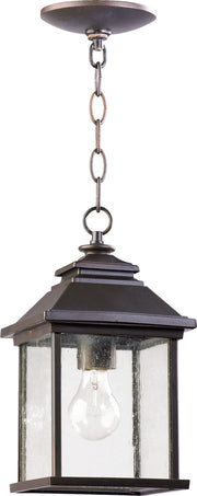 Pearson 13" 1 Light Outdoor Pendant in Oiled Bronze