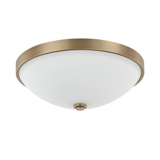 2 Light Ceiling Fixture in Aged Brass