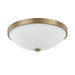 2 Light Ceiling Fixture in Aged Brass