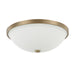 3 Light Ceiling Fixture in Aged Brass