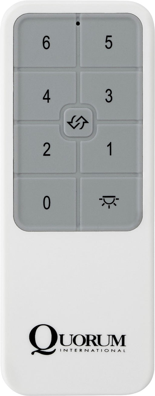 DC Motor Hand Held Remote in White