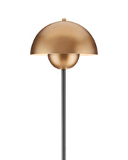 La Rue Floor Lamp in Brushed Brass / Black