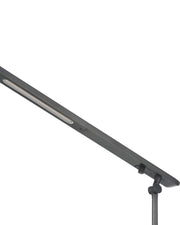 Hanford Floor Lamp in Oil Rubbed Bronze / Black