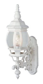 Francisco 1-Light 20.5" Outdoor Wall Lantern in White