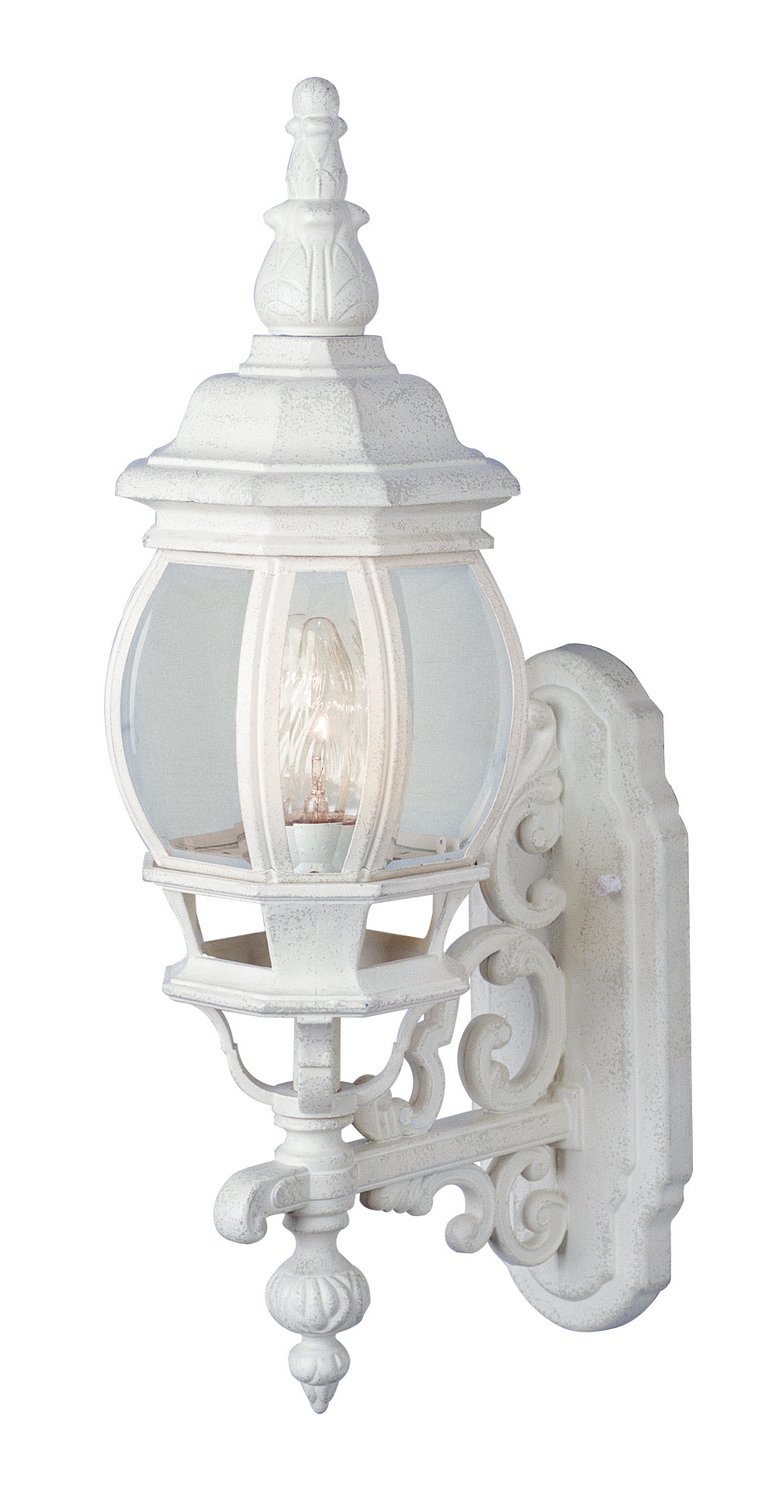 Francisco 1-Light 20.5" Outdoor Wall Lantern in White