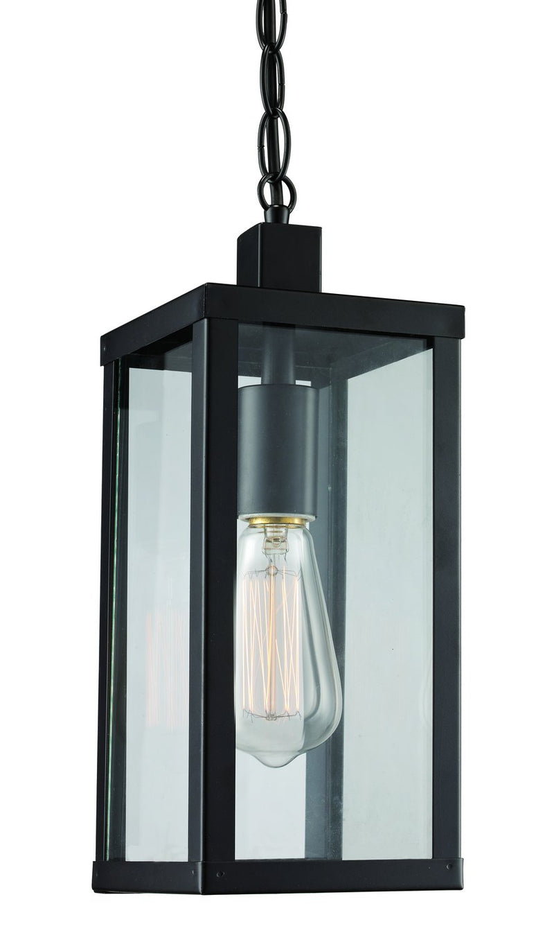 Oxford 1-Light 5" Outdoor Hanging Lantern in Black