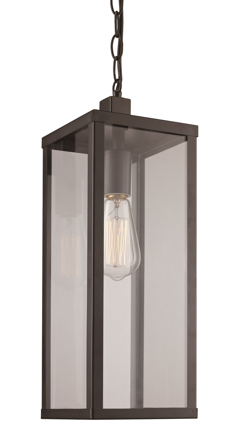 Oxford 1-Light 6" Outdoor Hanging Lantern in Black