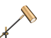 Calumet 1 Light 7" Floor Lamp in Matte Black + Olde Brass