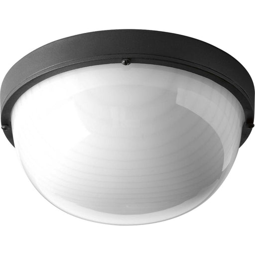 Bulkheads 9.5" LED Outdoor Wall / Ceiling Light in Black