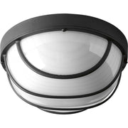 Bulkheads 9.5" LED Outdoor Wall / Ceiling Light P3650 in Black