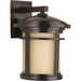 Wish One Light Wall Lantern in Antique Bronze