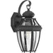 New Haven One Light Wall Lantern in Black