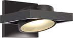 Hawk LED Wall Sconce in Textured Black