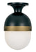 Capsule 1-Light Outdoor Ceiling Mount in Matte Black & Textured Gold - Lamps Expo