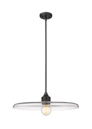 Paloma 1 Light 24" Pendant in Matte Black