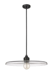 Paloma 1 Light 24" Pendant in Matte Black