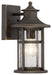 Highland Ridge 1-Light Outdoor Wall Lamp in Oil Rubbed Bronze with Gold High & Seedy Glass