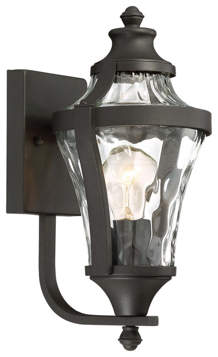 Libre 1-Light Outdoor Wall Lamp in Coal & Water Glass