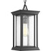 Endicott One Light Hanging Lantern in Black