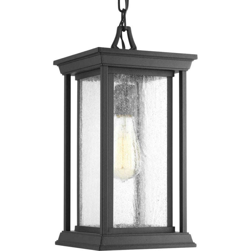 Endicott Outdoor Lantern Pendant in Black