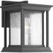 Endicott One Light Wall Lantern in Black