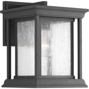 Endicott Small Outdoor Wall Lantern in Black