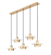 Ludo 5 Light 51.5" Linear Pendant in Matte White + Modern Gold