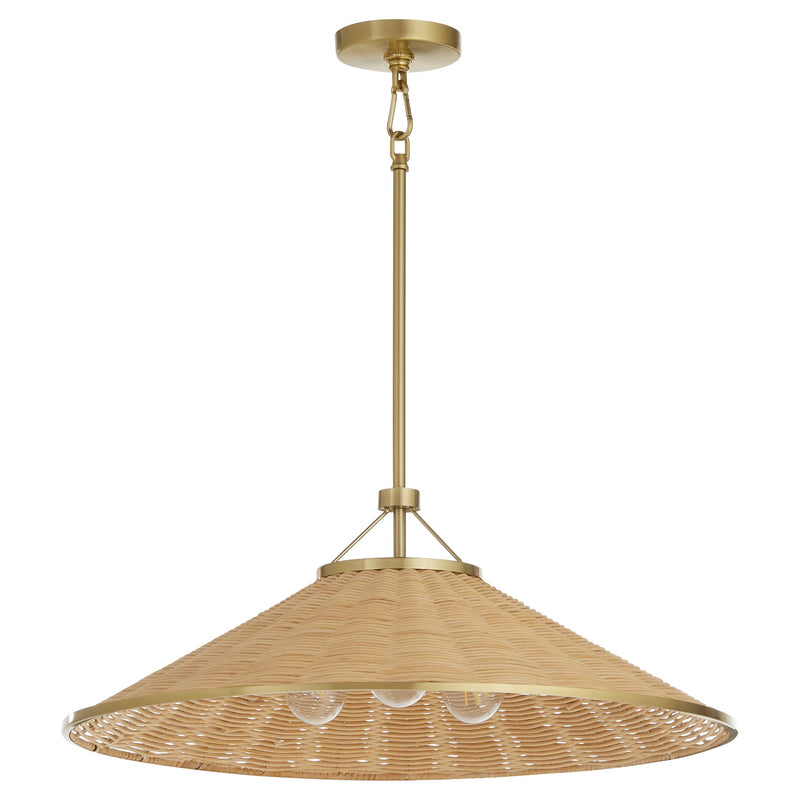 Cona 24" 3 Light Pendant in Aged Brass