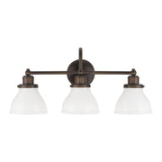 Baxter 3-Light Bath Vanity Light in Burnished Bronze
