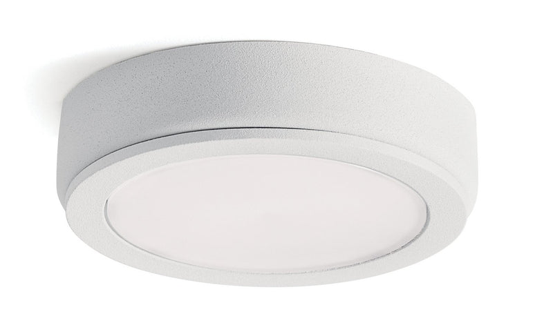 4D Series 12V LED Accent Disc in 3000K