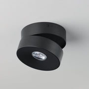 Swinger Adjustable LED Flush Mount in Black